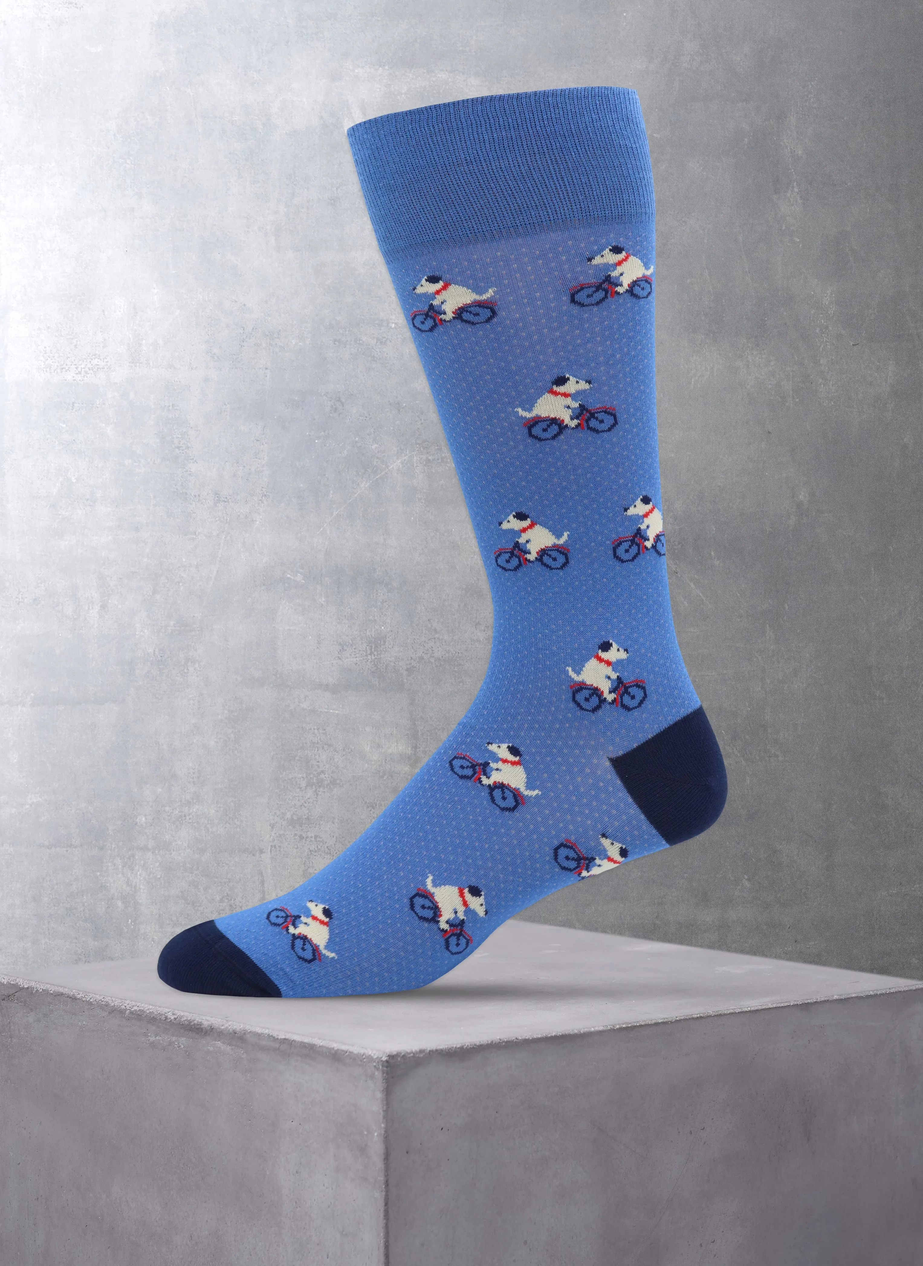 Dog On Bicycle Sock in Blue