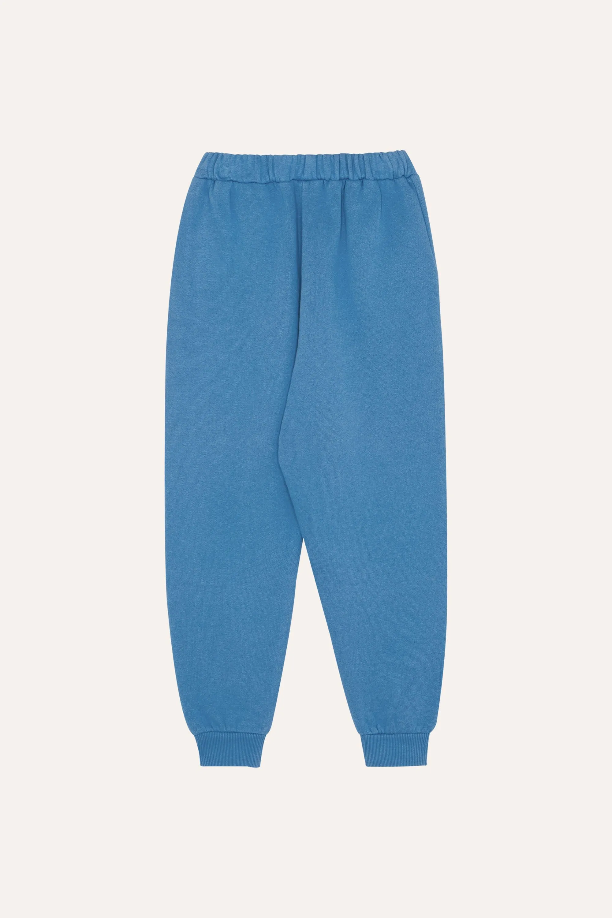 Jogging Pants in Blue